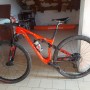 Specialized epic elite word cup carbon 29