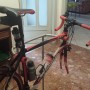 Bici corsa tg 56