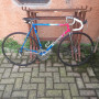 Bici da corsa Maddalena cambio campagnolo 