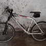 Vendo bottecchia fx 530 usata pochissimo 