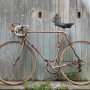 Eroica - Bici Frejus del 1955 rigenerata con pezzi originali