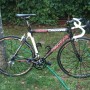 Vendo bici da corsa Ful carbon Daccordi Vero