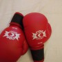 Guanti da boxe nuovi