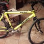 Vendo MTB TELAIO OVERSIZE 7001 CAMBIO BULLET