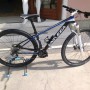 MTB Univega Alpina HT 29