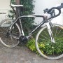 Colnago clx misura 52s carbonio 